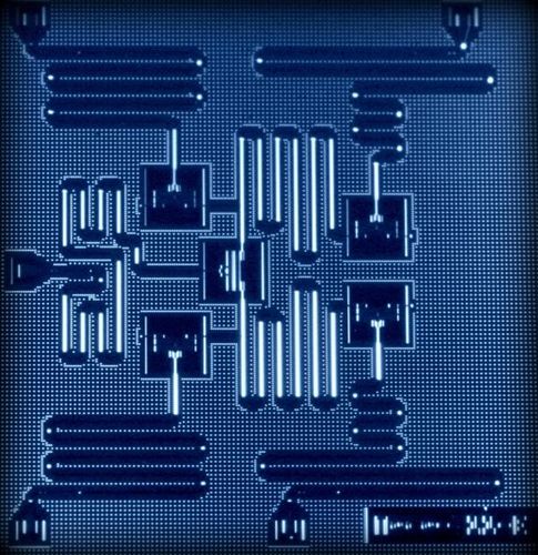 ibm够大方:发布免费量子计算云服务